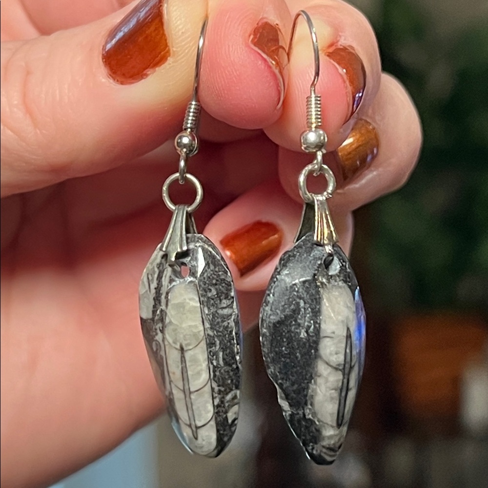Othoceras Fossil Claw Style Silver Tone Dangle Earrings